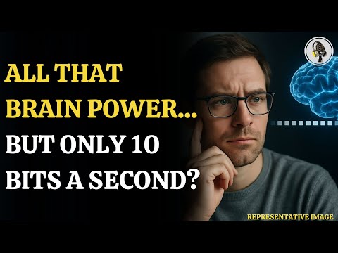 Your Brain Runs at 10 Bits Per Second? New Study Explains Why |WION Podcast