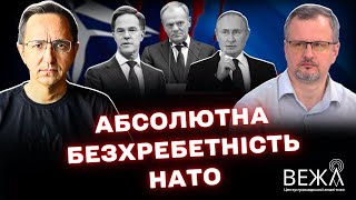 Атаки дронов на Польшу: реакция НАТО, позиция США и угрозы для Европы — взгляд экспертов