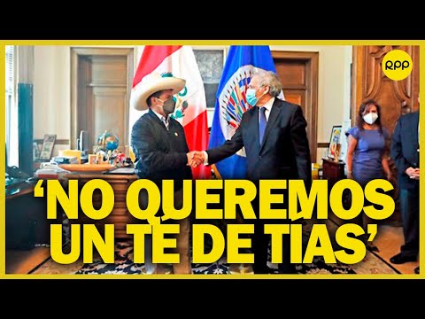 Luis Gonzáles Posada: “No queremos que Asamblea de la OEA se convierta en un té de tías”