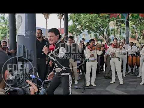 PEDRO FERNÁNDEZ Canta en GARIBALDO El cantante luce espectacular e igualito como de 20 años Velo