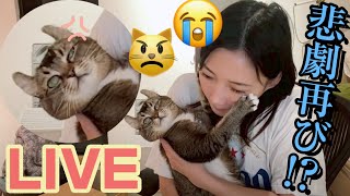 動画サムネイル