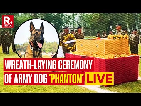 Wreath-Laying Ceremony Held For Indian Army Dog Phantom | Akhnoor Encounter