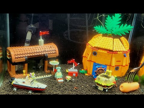 Knocking down walls in my kitchen!! Lego aquarium  Merch store_
http_//rumballsfishroom.theprintbar.com/home

Official sponsor_
https_//www.carinepetce
