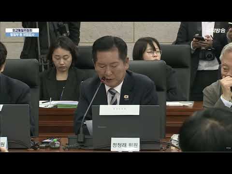 261007 외통위 국정감사  <strong>통일부</strong> 등 주질의