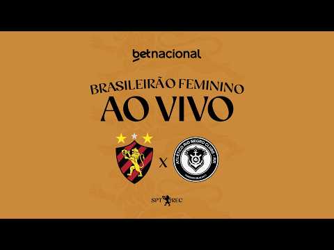 image para ilustrar o artigo