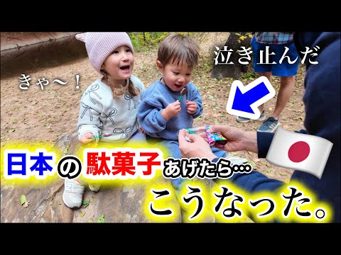 【違いがわかる？】泣いてる息子に日本から持ってきたお菓子をあげた結果…