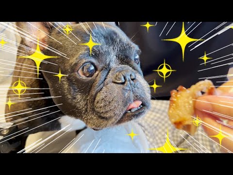 子なしアラフォー夫婦と犬１匹の日曜お家ごはん