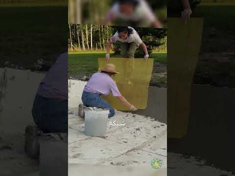 لنبني مسبحًا! 👙🏊‍♀️