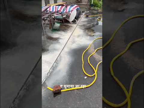 Ye Log Apne Ghar Ko kyu kaat Rahe hai