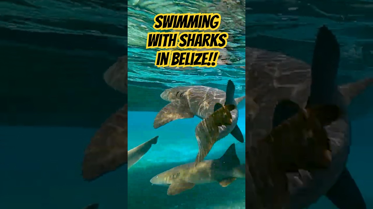 Day Trip to Hobbitenango from Antigua Is It Worth It? Kitti Around