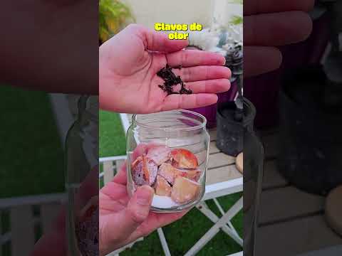 no vuelvas a tirarlas