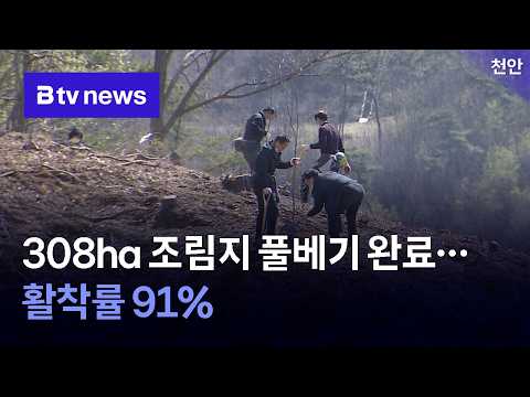 <strong>천안시</strong>, 308ha 조림지 풀베기 완료…활착률 91% [충남·세종]