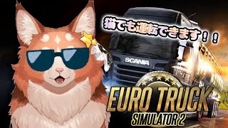 【Euro Truck Simulator 2】運転はマリオカートで鍛えた【花汐ぺあ/Vtuber】