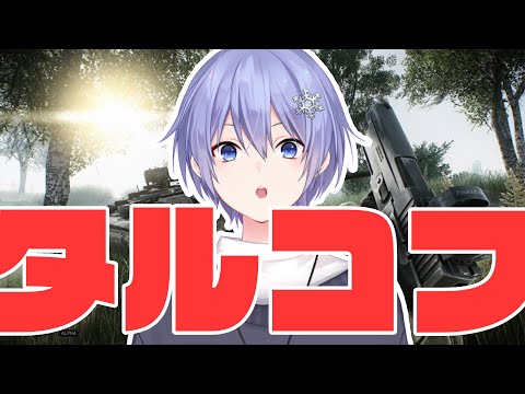 【Escape From Tarkov】タスクから解放されたので凶暴になる  lv47~【白雪レイド】