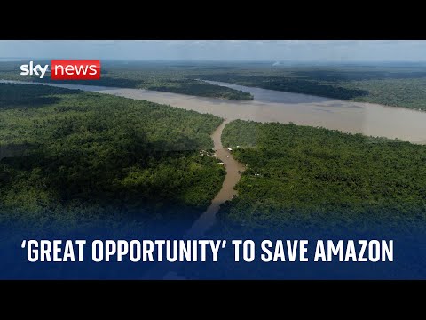 Brazil: 'A great opportunity to save the Amazon' - Climate Scientist