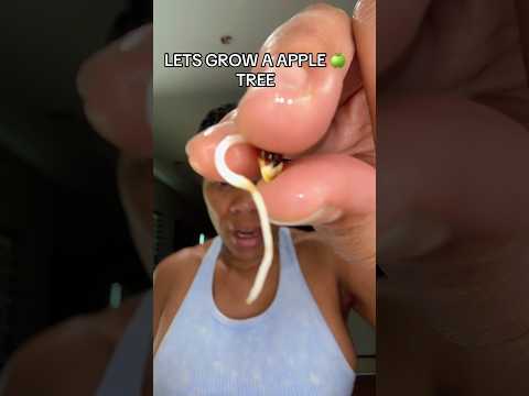 Grow Your Own Apples