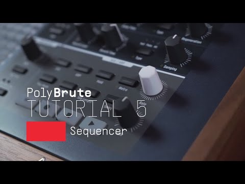 Tutorials | PolyBrute - Episode 5: Sequencer