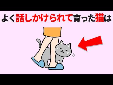 猫の動画サムネイル - 【保存版】話しかけられて育った猫が見せる20の驚きの行動 #猫 #雑学 #豆知識 #トリビア #ねこ