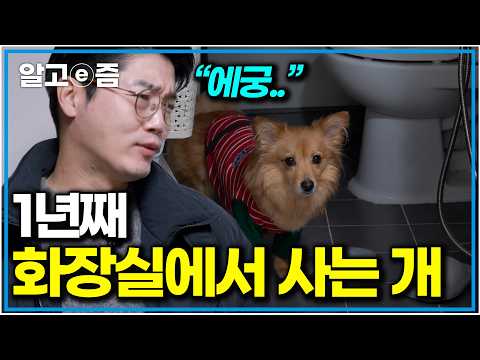 “제발 나와줘..” 한겨울에도 추운 화장실에서 사는 개｜세상에 나쁜 개는 없다｜알고e즘