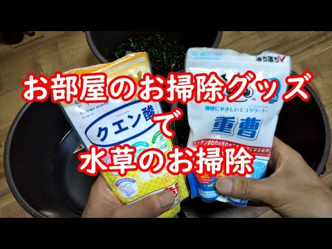 みなみ Minami の最新動画 Youtubeランキング みなみ Minami の最新動画 Youtubeランキング