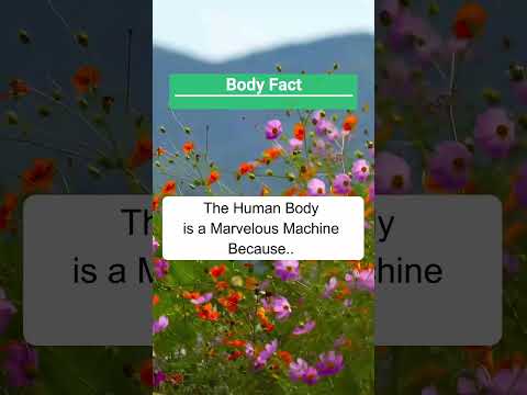 The Amazing Cell Regeneration Power of the Human Body #shorts