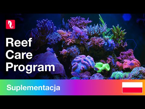 Reef Care Program Red Sea