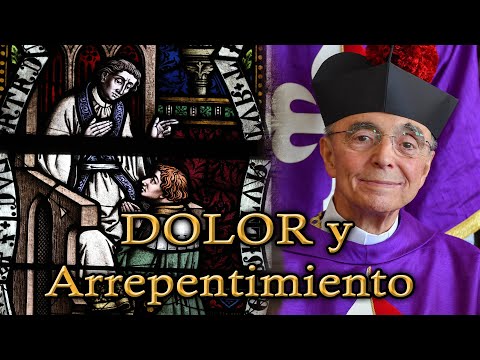 ARREPENTIMIENTO Y DOLOR- Mons. João Clá