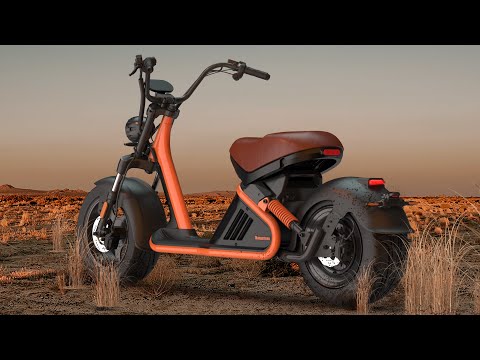 2021 Rooder Alligator Fat Tire Electric Scooter with 2000w 3000w 45ah 65km/h EEC COC Wholesale Price