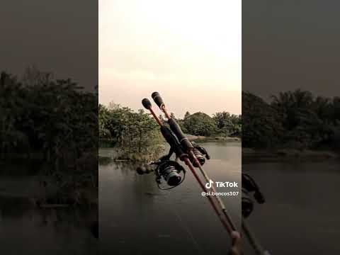 Siapa disini mancing liaran,siapa juga mancing kolaman? #mancingmania #pemancinganharian