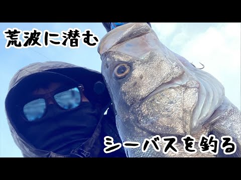 ゆるく釣ります! その177 荒波に潜むシーバスを釣る