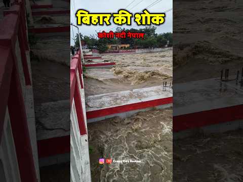 बिहार की शोक नदी // koshi barrage // koshi barrage nepal // koshi barrage news // koshi barrage live