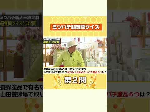 超難問!!ミツバチクイズ2問目に新入社員が挑戦!|山田養蜂場 #shorts #ミツバチ #蜂