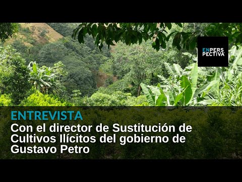 Colombia y la hoja de coca: con los campesinos que plantan hay que hacer una revolución industrial