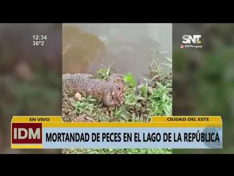 CDE: Mortandad de peces en el Lago de la República.