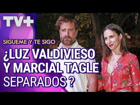 Luz Valdivieso y Marcial Tagle se habrían separado