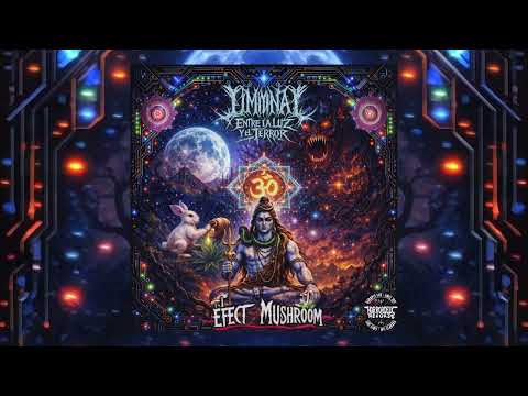 01. Efect Mushroom - La luna y el Conejo 175
