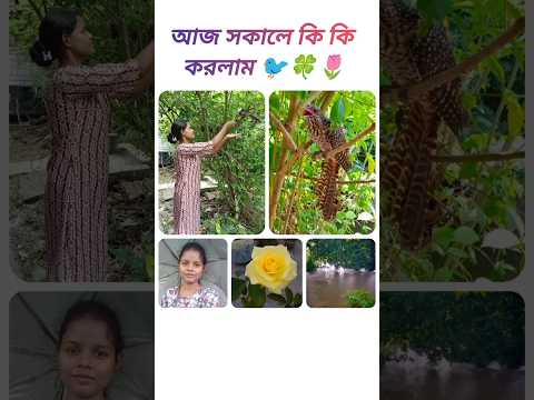 আজ সকালে কি কি করলাম ⛅🐦🌷 #vlog #minivlog #dailyvlog #shorts #shortvideo #subscribe #foryou