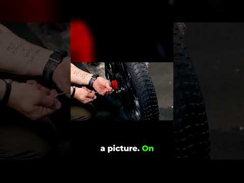 Unlock Your Adventure: Timberwolf Scooter Lifestyle! Unlock Your Adventure: Timberwolf Scooter Lifestyle!