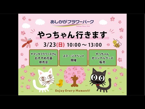 ◆【あしかがフラワーパーク】やっちゃん来場イベント！告知LIVE。絶対見てね(#^.^#)