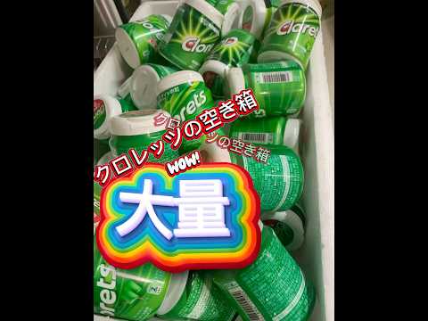 クロレッツの大量空き箱再利用 #pug #パグ #クロレッツ #再利用