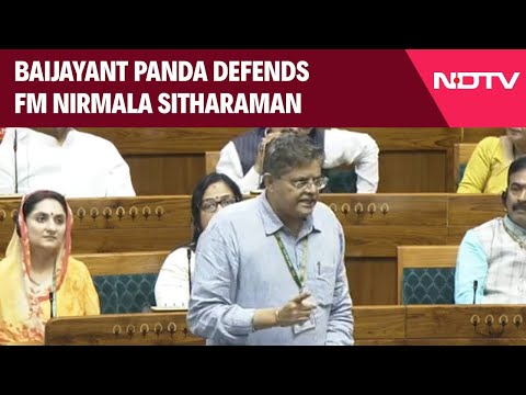 Budget 2024 | Baijayant Panda Defends Nirmala Sitharaman, Says 'Admire Her 5 Previous Budgets'