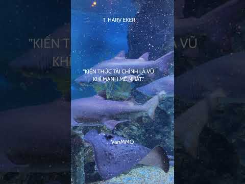 Kiến Thức Tài Chính