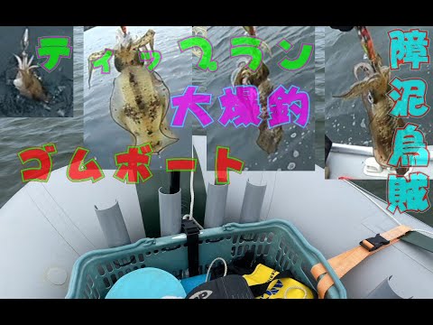 2025年秋初戦　アオリイカ短時間で爆釣！　その２