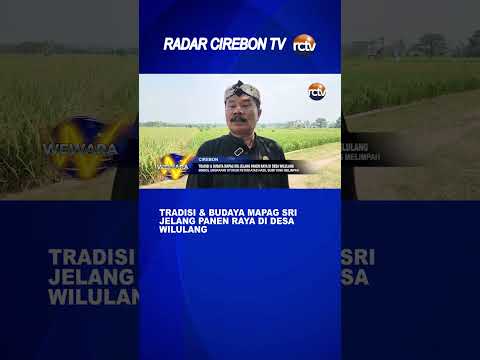 Tradisi & Budaya Mapag Sri Jelang Panen Raya di Desa Wilulang