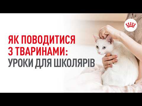 Мова тіла котів і собак: як навчити дитину безпечно спілкуватися з тваринами