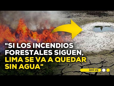 Estrés hídrico: impacto de los incendios forestales #ROTATIVARPP | ENTREVISTA