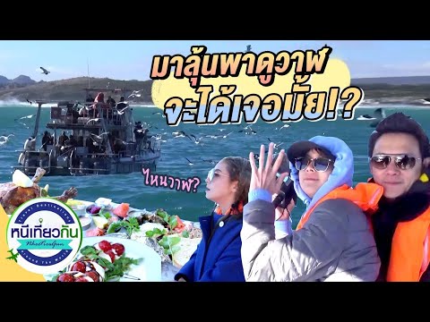 มาลุ้นกัน!!-ลงเรือไปดูวาฬ..จะไ มาลุ้นกัน!!-ลงเรือไปดูวาฬ..จะไ