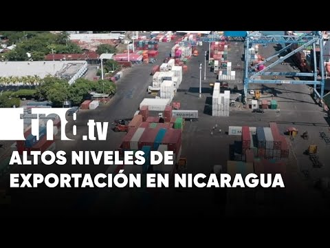 Dinámica exportadora en Nicaragua suma ya los US$ 2,204 millones