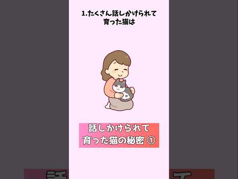 猫の動画サムネイル - 【保存版】話しかけられて育った猫が見せる行動① #猫 #雑学 #豆知識 #トリビア #ねこ 音声「VOICEVOX:四国めたん」さん