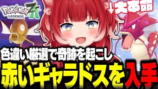 色違い厳選で奇跡を起こし赤いギャラドスを手に入れるかるび【赤見かるび切り抜き ポケモンZA】